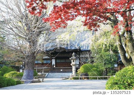 高円寺 135207523