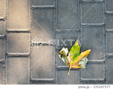 A single leaf on a textured concrete pavement. A single leaf on a textured concrete pavement. 135207577