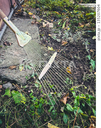 Rake in a garden with fallen leaves on stone path. 135207604