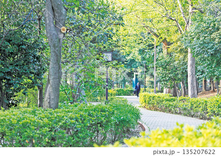 蚕糸の森公園 蚕糸の森公園 135207622