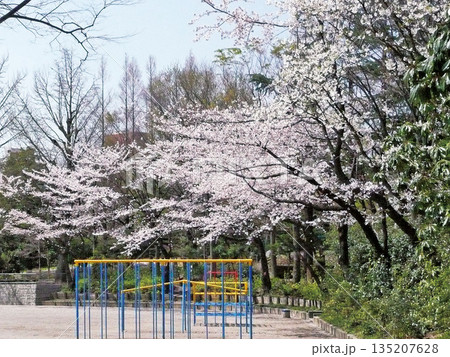 蚕糸の森公園 135207628