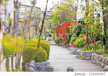 桃園川緑道 135207837