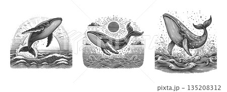 whales breaching ocean waves engraving set raster 135208312