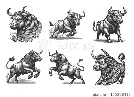 Bull in Dynamic Pose engraving raster collection 135208415