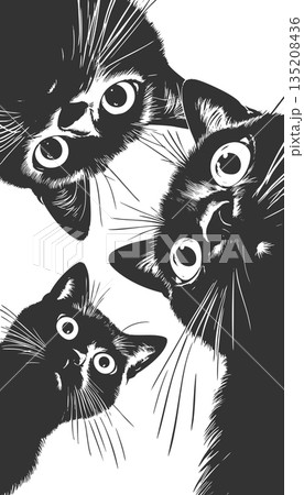 Cute Black Cats Looking Down vector illustration 135208436