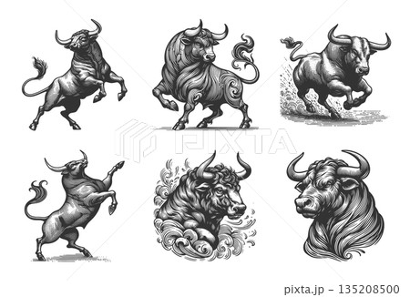 Bull in Dynamic Pose engraving vector collection 135208500