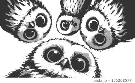 Curious Owls Looking Down engraving sketch raster 135208577