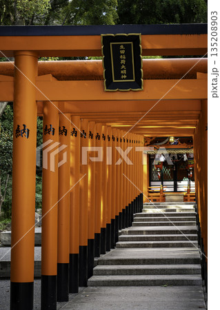 生田神社 生田稲荷大明神 生田神社 生田稲荷大明神 135208903