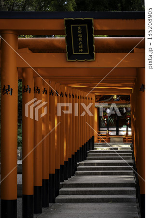 生田神社 生田稲荷大明神 生田神社 生田稲荷大明神 135208905