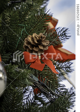 赤いリボンのクリスマスツリー 赤いリボンのクリスマスツリー 135208991