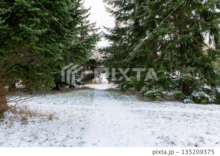 Winter road winding through snowy evergreen forest. Winter road winding through snowy evergreen forest. 135209375