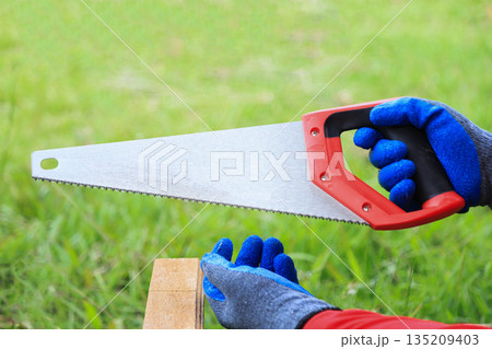 short saw on worker hand prepare for using in wood work 135209403
