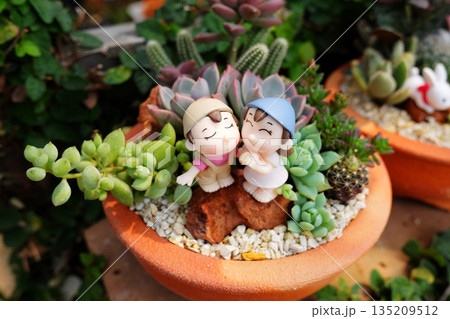 Top view of blooming cacti and succulents with stone and couple doll model decorated in a clay pot 135209512