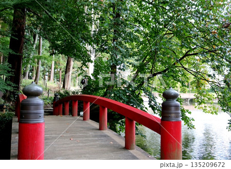 境内にある太鼓橋　 135209672