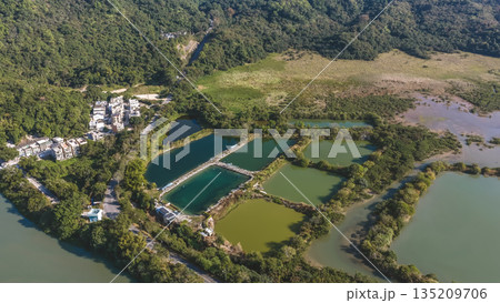 Jan 3 2026 Fish Pond Luk Keng Rural Wetland Landscape Hong Kong 135209706