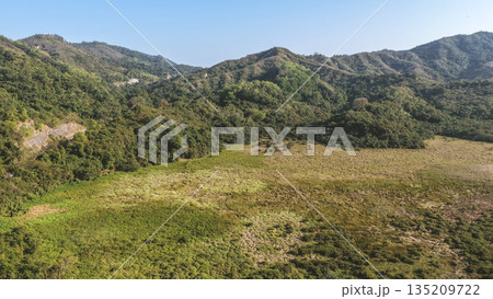 Jan 3 2026 Reed Field Luk Keng Rural Wetland Landscape Hong Jan 3 2026 Reed Field Luk Keng Rural Wetland Landscape Hong 135209722