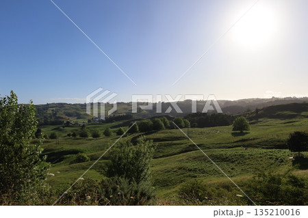 ニュージーランド、ワイトモの景色 135210016