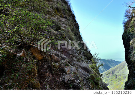 愛鷹山塊　蓬莱岳（蓬莱山）と呼子岳の鞍部　春の割石峠の峠道 135210236