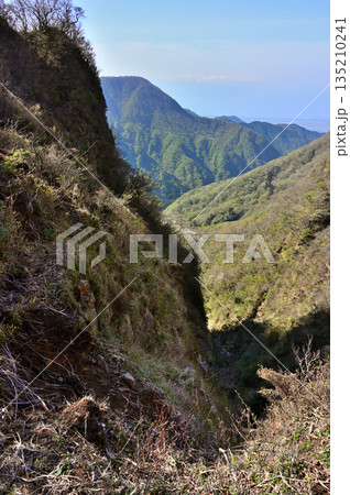 愛鷹山塊の呼子岳より望む袴腰岳 135210241