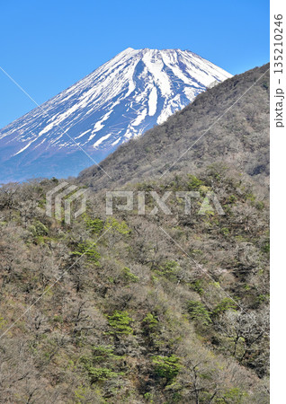 愛鷹山塊の呼子岳より 越前岳の横から顔を出す春の富士山 愛鷹山塊の呼子岳より 越前岳の横から顔を出す春の富士山 135210246