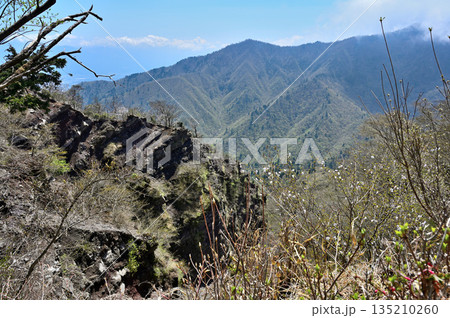 愛鷹山塊の越前岳　春の北白ガレンより望む前岳 135210260