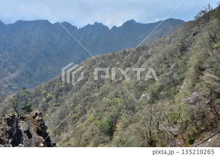 愛鷹山塊の越前岳 北白ガレンの岩場からの展望 鋸岳、蓬莱岳(蓬莱山)、呼子岳 愛鷹山塊の越前岳 北白ガレンの岩場からの展望 鋸岳、蓬莱岳(蓬莱山)、呼子岳 135210265