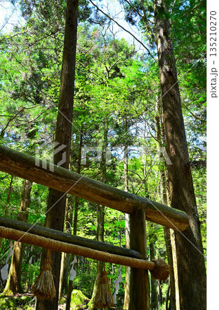 愛鷹山塊の越前岳 大沢入林道 山神社のある須山愛鷹登山口の鳥居 愛鷹山塊の越前岳 大沢入林道 山神社のある須山愛鷹登山口の鳥居 135210270