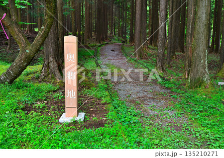 愛鷹山塊　富士ひのきの森　奥郷地入口の遊歩道 135210271