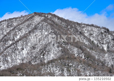 愛鷹山塊の呼子岳より 雪化粧の越前岳を望む 愛鷹山塊の呼子岳より 雪化粧の越前岳を望む 135210502