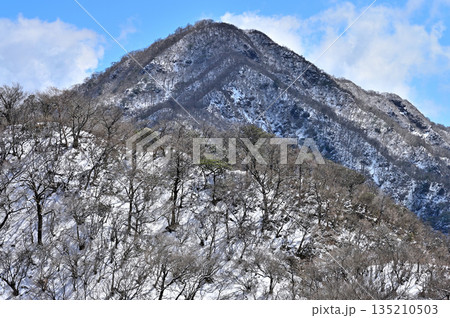 愛鷹山塊の呼子岳より 雪化粧の位牌岳を望む 愛鷹山塊の呼子岳より 雪化粧の位牌岳を望む 135210503