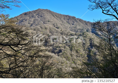 愛鷹山塊　割石峠付近より望む春の越前岳 135210527