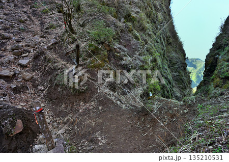 愛鷹山塊　蓬莱岳（蓬莱山）と呼子岳の鞍部　割石峠の登山道 135210531