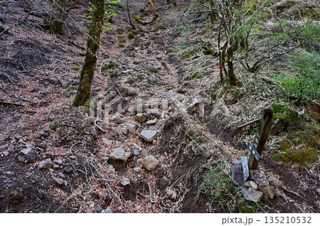 愛鷹山塊の割石峠　蓬莱岳（蓬莱山）へと登る道 135210532