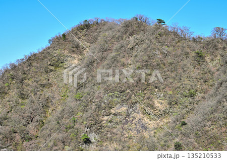愛鷹山塊の蓬莱岳(蓬莱山) 天狗の畑展望地より望む呼子岳 愛鷹山塊の蓬莱岳(蓬莱山) 天狗の畑展望地より望む呼子岳 135210533