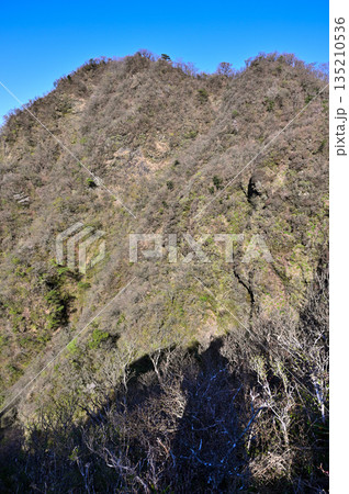 愛鷹山塊の蓬莱岳(蓬莱山) 天狗の畑展望地より望む早春の呼子岳 愛鷹山塊の蓬莱岳(蓬莱山) 天狗の畑展望地より望む早春の呼子岳 135210536