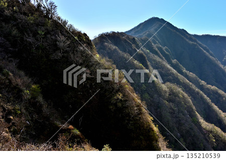 愛鷹山塊の蓬莱岳(蓬莱山)より 鋸岳から位牌岳の稜線 愛鷹山塊の蓬莱岳(蓬莱山)より 鋸岳から位牌岳の稜線 135210539
