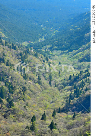 愛鷹山塊の蓬莱岳（蓬莱山）山頂より　点在する山地の新緑 135210546