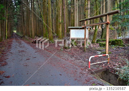 愛鷹山塊の越前岳 大沢入林道 山神社のある須山愛鷹登山口 愛鷹山塊の越前岳 大沢入林道 山神社のある須山愛鷹登山口 135210587