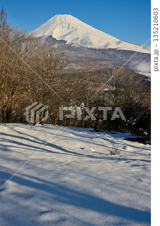 愛鷹山塊 積雪した黒岳山頂より望む朝の富士山 愛鷹山塊 積雪した黒岳山頂より望む朝の富士山 135210603