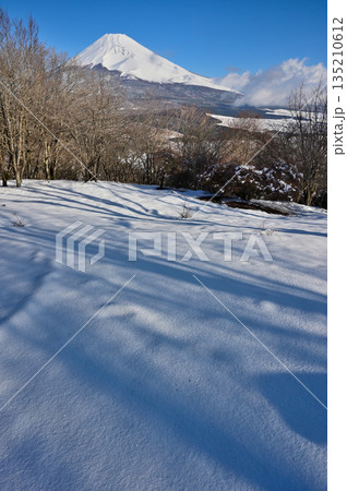 愛鷹山塊　積雪した黒岳山頂より望む富士山 135210612