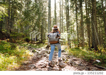 Woman with backpack hiking outdoors in the Forest. Trekking in the Pine Woods. Hiking lifestyle Woman with backpack hiking outdoors in the Forest. Trekking in the Pine Woods. Hiking lifestyle 135211202
