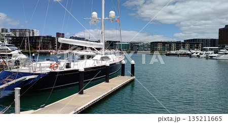 バイアダクト・ハーバー【ニュージーランド・オークランド】 135211665