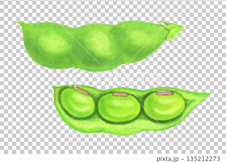 大豆豆插圖 135212273