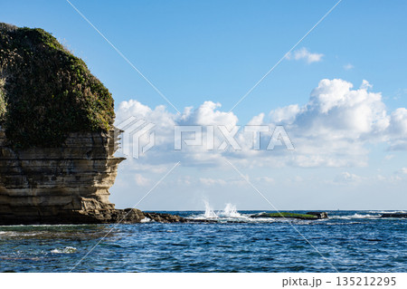 鵜原理想郷の断崖と海と空 135212295