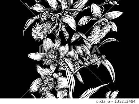 Vanilla orchid seamless coloring page.  135212484