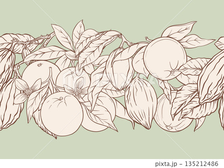 Oranges cacao pods citrus blossoms 135212486