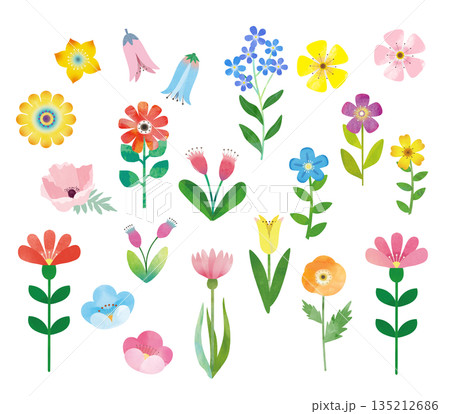 花のカットイラスト 花のカットイラスト 135212686