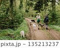 Professional dog walker. Two women are walking their dogs in forest.  135213237