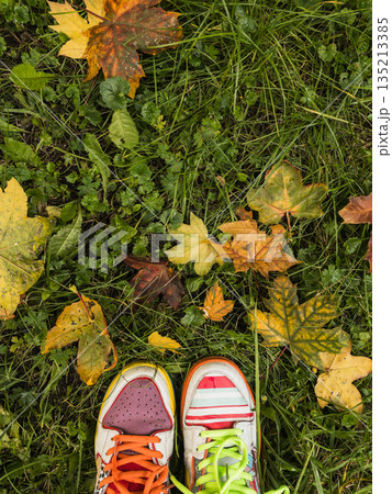 Colorful sneakers on the fallen autumn leaves. 135213385
