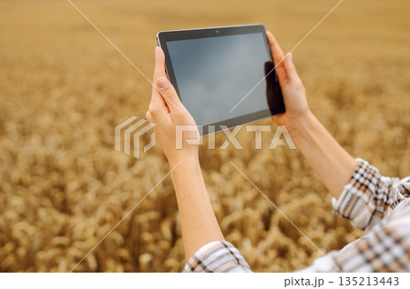 Woman farmer with digital tablet in agricultural field. Smart farm 135213443